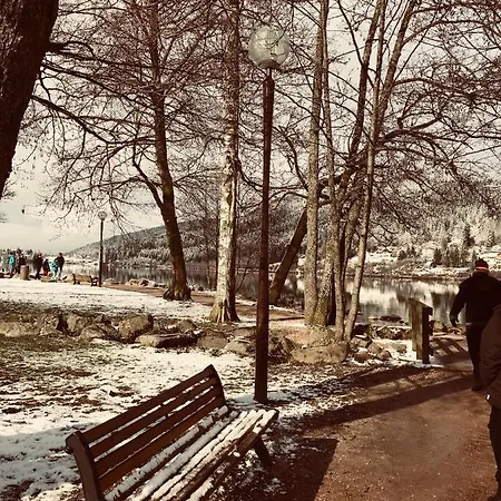 Moya Dağ evi