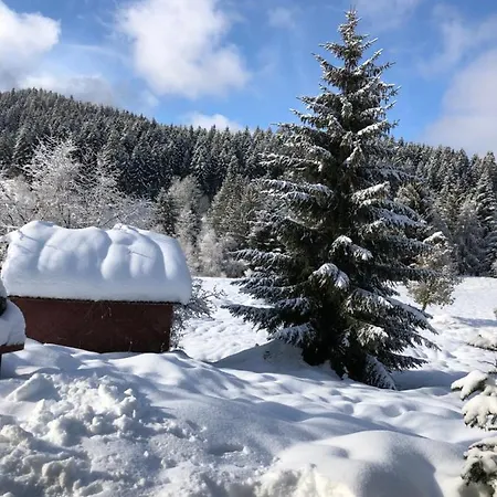 Moya Gerardmer